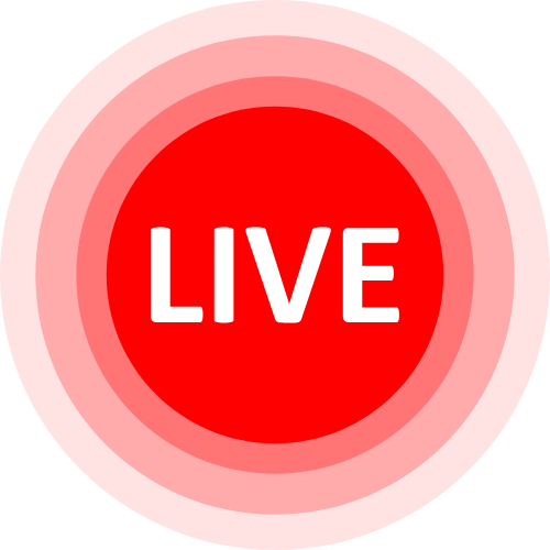 Rabbit Live Cams